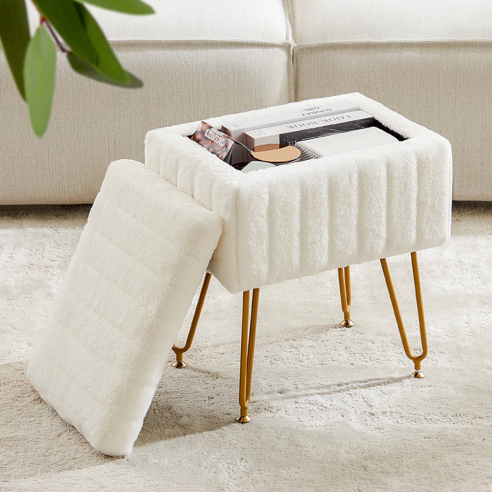 Living Room Hidden Storage Ottoman