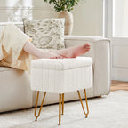 Living Room Hidden Storage Ottoman